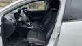 Mazda 2 1.5 e-Skyactiv G Exclusive-Line 66kW Blanco - thumbnail 11