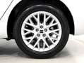 SEAT Ibiza 1.0 TSI 85kW Special Edition Xcellence Blanco - thumbnail 8