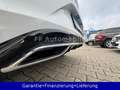 Volkswagen T-Roc R-Line Pano Einzigartig Sonderedition Weiß - thumbnail 10