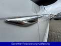 Volkswagen T-Roc R-Line Pano Einzigartig Sonderedition Weiß - thumbnail 11