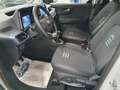 Ford Tourneo Courier Active 1.0 EcoBoost 125 CV Verde - thumbnail 7