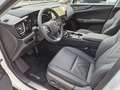 Lexus NX 350h Executive Line FLA HUD ParkAss. SpurH Weiß - thumbnail 6