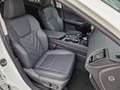 Lexus NX 350h Executive Line FLA HUD ParkAss. SpurH Weiß - thumbnail 10