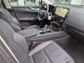 Lexus NX 350h Executive Line FLA HUD ParkAss. SpurH Weiß - thumbnail 9