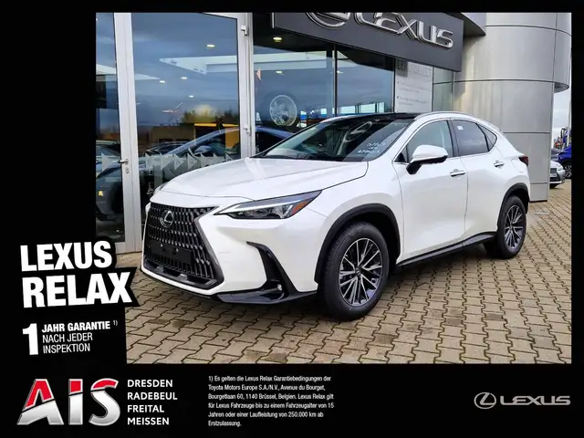 Lexus NX 350h Executive Line Technik/Interieur P/AHZV