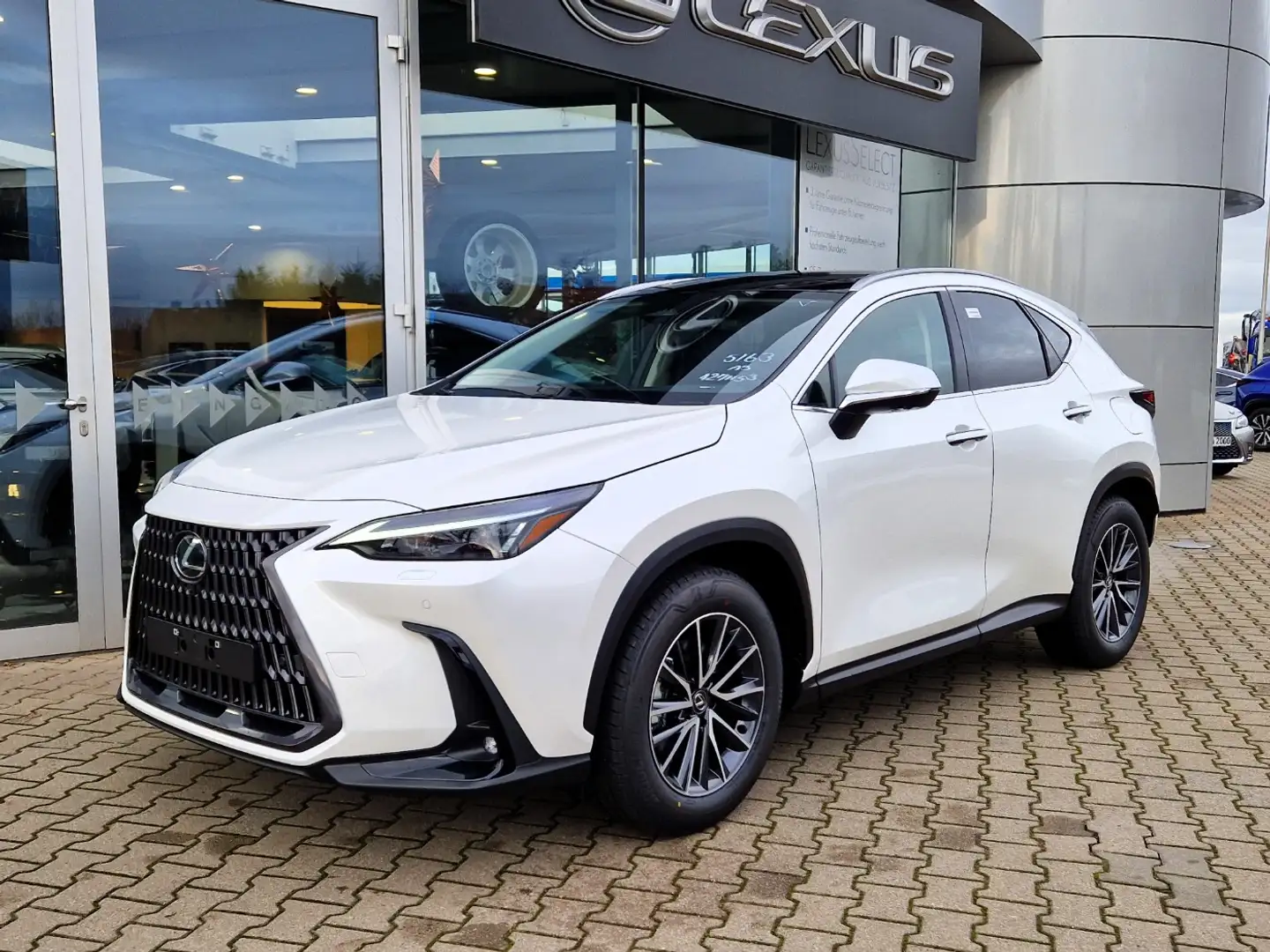 Lexus NX 350h Executive Line Technik/Interieur P/AHZV Biały - 2