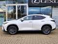 Lexus NX 350h Executive Line Technik/Interieur P/AHZV Biały - thumbnail 4