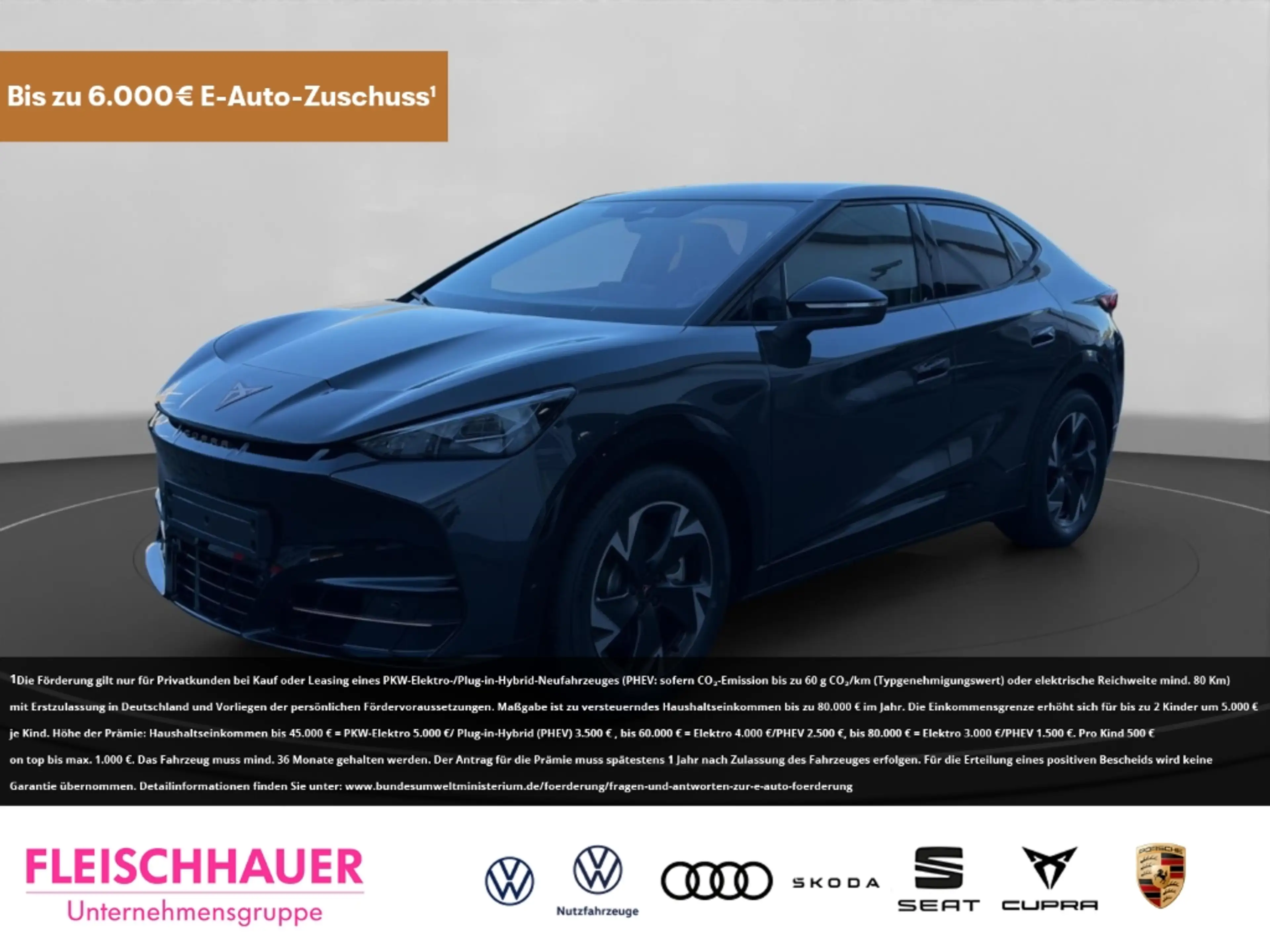 CUPRA Tavascan Endurance LED Tel.-Vorb. DAB Rückfahrkam. Temp PDC