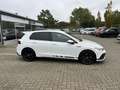 Volkswagen Golf GTI VIII 2.0 TSI DSG GTI Clubsport*ACC*H&K* Weiß - thumbnail 16