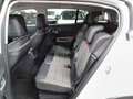 Citroen C5 Aircross BlueHDi S&S Feel 130 Blanco - thumbnail 10