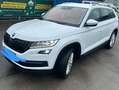 Skoda Kodiaq Kodiaq 2,0 TDI SCR 4x4 Style DSG Style Weiß - thumbnail 1