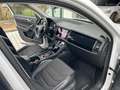 Skoda Kodiaq Kodiaq 2,0 TDI SCR 4x4 Style DSG Style Weiß - thumbnail 9