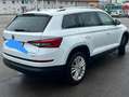 Skoda Kodiaq Kodiaq 2,0 TDI SCR 4x4 Style DSG Style Weiß - thumbnail 5