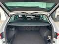 Skoda Kodiaq Kodiaq 2,0 TDI SCR 4x4 Style DSG Style Weiß - thumbnail 8