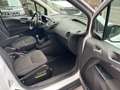 Ford Transit Courier Transit Courier 1.5 TDCi 75CV Van Trend UNIPRPRIET Bianco - thumbnail 9