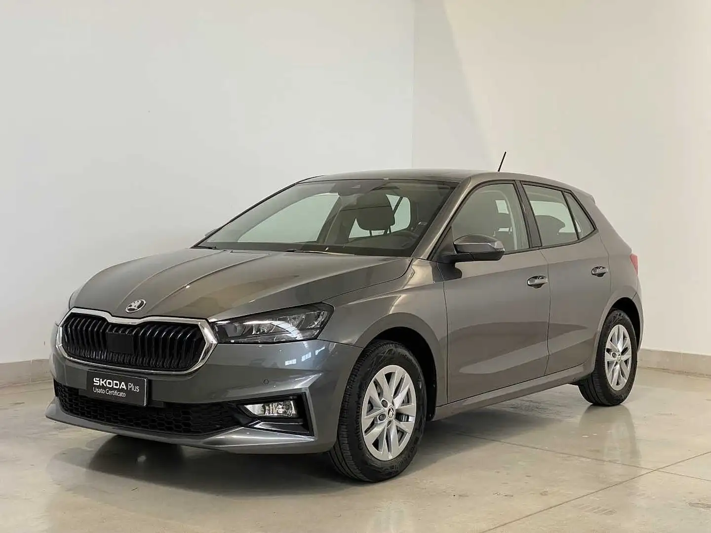 Skoda Fabia Fabia 1.0 mpi evo Selection 80cv Grigio - 1