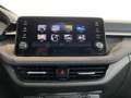 Skoda Fabia Fabia 1.0 mpi evo Selection 80cv Grigio - thumbnail 14