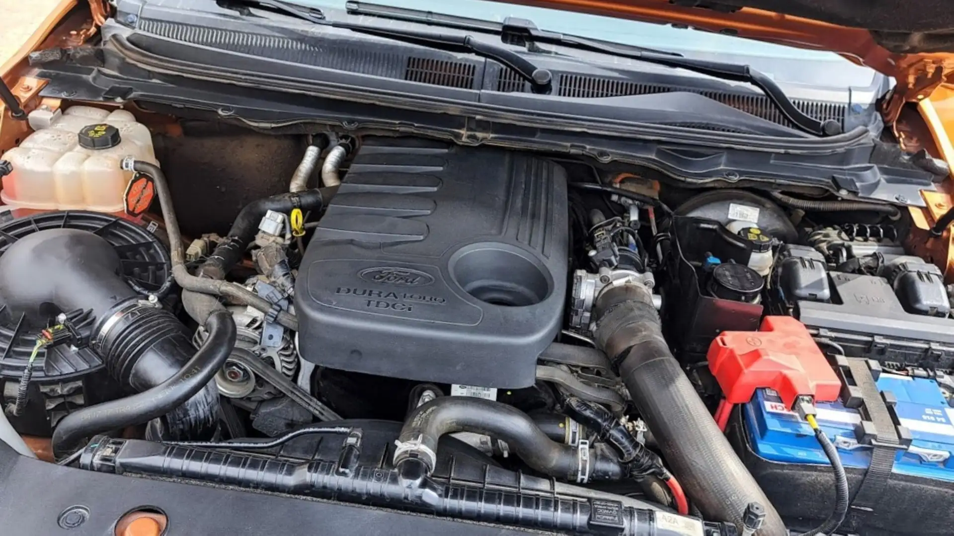 Ford Ranger Ranger 3.2TDCI DCb. Wildtrak 4x4 Aut. 200 Wildtrak Naranja - 1