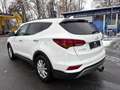 Hyundai SANTA FE 2.2 CRDI Style 2WD Autom. Leder Weiß - thumbnail 3