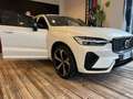 Volvo XC60 XC60 T6 Plug-in hybrid AWD automatico Ultra Dark Bianco - thumbnail 8