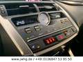 Lexus NX 300 h Business Line LED Navi Vollleder Kamera Blanc - thumbnail 11