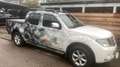 Nissan Navara Weiß - thumbnail 1