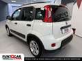 Fiat Panda Panda 1.0 FireFly S&S Hybrid City Life - thumbnail 8