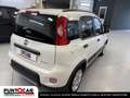 Fiat Panda Panda 1.0 FireFly S&S Hybrid City Life - thumbnail 6