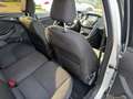Ford Focus Turnier Business|KLIMA|PDC|SERVO|ZENTRAL| Zilver - thumbnail 17