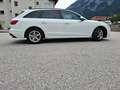 Audi A4 Avant 30 TDI S-tronic - thumbnail 10