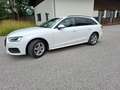 Audi A4 Avant 30 TDI S-tronic - thumbnail 12