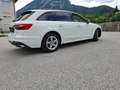 Audi A4 Avant 30 TDI S-tronic - thumbnail 16
