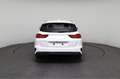 Kia Ceed SW / cee'd SW Sportswagon TOP (Top) 1.5 T-GDI *NAVI*ACC*LED*S... Weiß - thumbnail 6