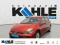 Volkswagen Golf VIII 1.5 TSI Basis Rot - thumbnail 1