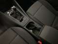 Volkswagen Golf VIII 1.5 TSI Basis Rot - thumbnail 19