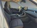 Toyota RAV 4 RAV4 2.5 Business Edition *LED*NAVI*SHZ*PDC* Weiß - thumbnail 16