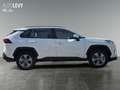 Toyota RAV 4 RAV4 2.5 Business Edition *LED*NAVI*SHZ*PDC* Weiß - thumbnail 7