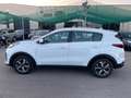 Kia Sportage Sportage 1.6 CRDI 136 CV DCT7 2WD Mild Hybrid Busi Bianco - thumbnail 2