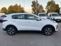 Kia Sportage Sportage 1.6 CRDI 136 CV DCT7 2WD Mild Hybrid Busi Bianco - thumbnail 5