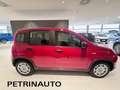Fiat Panda 1.0 FireFly S&S Hybrid Pack City+Kit 5p Km.0 Rood - thumbnail 4