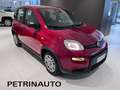 Fiat Panda 1.0 FireFly S&S Hybrid Pack City+Kit 5p Km.0 Rood - thumbnail 3