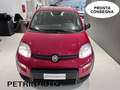Fiat Panda 1.0 FireFly S&S Hybrid Pack City+Kit 5p Km.0 Rood - thumbnail 1