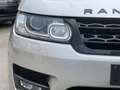 Land Rover Range Rover Sport 3.0 TDV6 HSE Dynamic Grigio - thumbnail 4