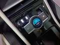 Volkswagen Tiguan 2.0 TDI SCR Elegance Verde - thumbnail 14