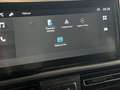 Citroen Berlingo Berlingo BlueHDi 100 Stop&Start M Plus Grün - thumbnail 21