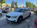 Skoda Octavia Wagon 2.0 tdi Scout 4x4 184cv dsg Wit - thumbnail 4