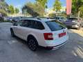 Skoda Octavia Wagon 2.0 tdi Scout 4x4 184cv dsg Wit - thumbnail 7