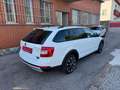 Skoda Octavia Wagon 2.0 tdi Scout 4x4 184cv dsg Wit - thumbnail 5
