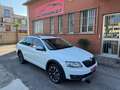 Skoda Octavia Wagon 2.0 tdi Scout 4x4 184cv dsg Wit - thumbnail 1