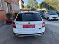 Skoda Octavia Wagon 2.0 tdi Scout 4x4 184cv dsg Wit - thumbnail 6